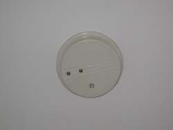 lighted smoke detector lights