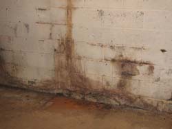 home inspection mold like substance in new jersey
							basement